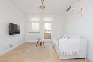 Fernseher, Arbeitsbereiche