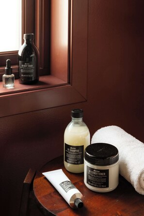 Shower, hair dryer, shampoo