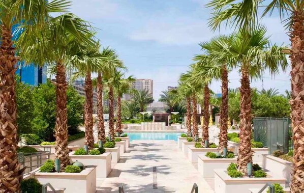 A pool area with palm trees and a clear sky.