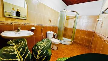 Bidet, towels, soap, toilet paper