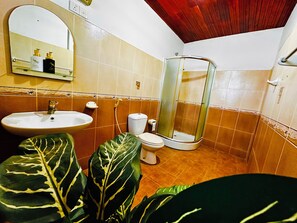 Bidet, serviettes fournies, savon, papier toilette