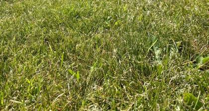 Cabañas Camiño do Mar