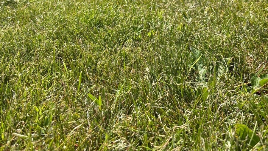 Cabañas Camiño do Mar