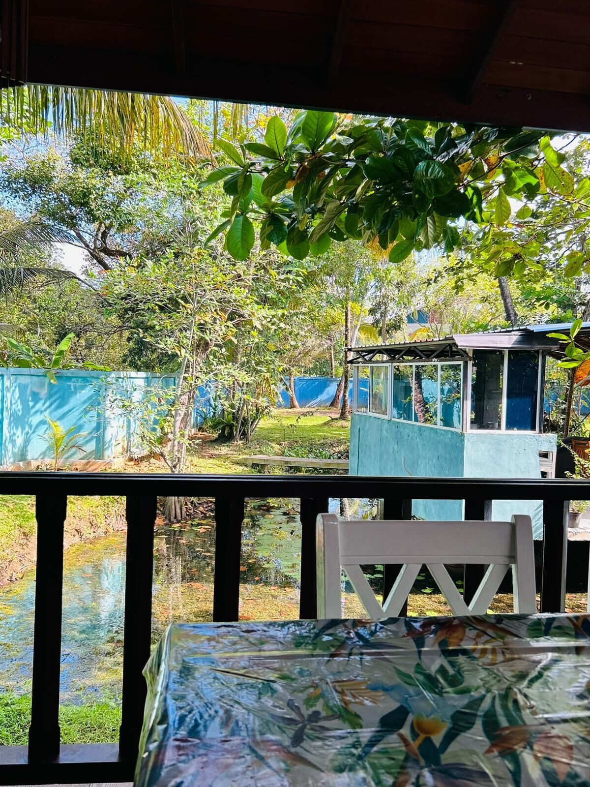 Un espace extérieur aménagé avec des sièges, offrant une vue sur un jardin et une petite construction.