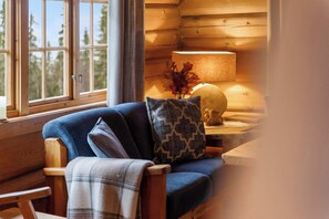 Fernseher, Kamin, Arbeitsbereiche