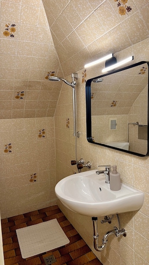 Shower, hair dryer, towels, toilet paper