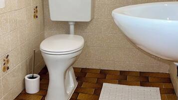 Shower, hair dryer, towels, toilet paper
