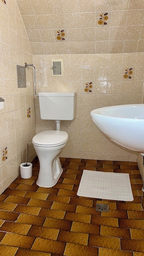 Shower, hair dryer, towels, toilet paper