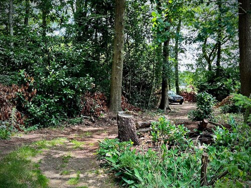 Unieke retro-bungalow op de Veluwe