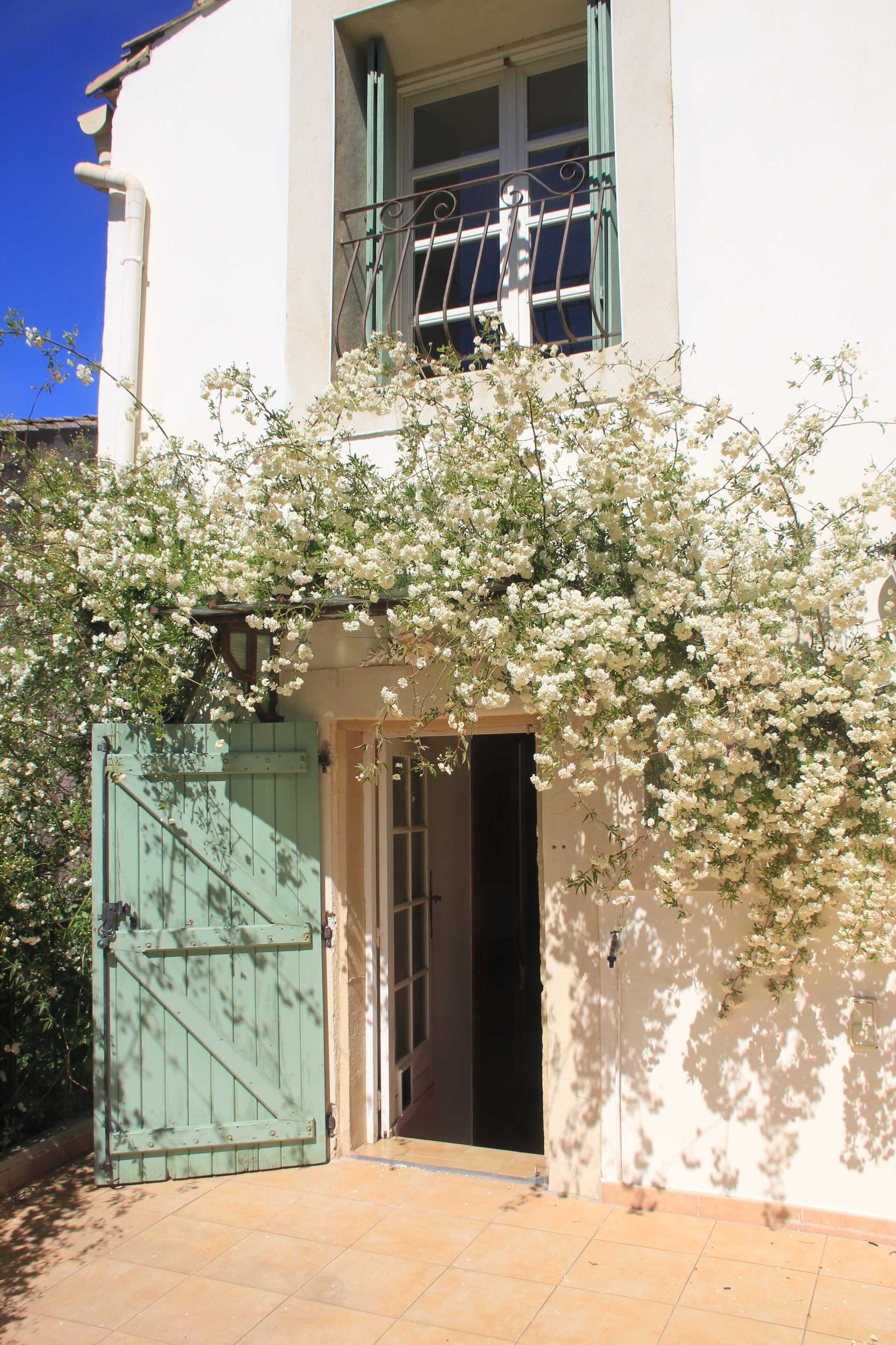 Detalle del exterior