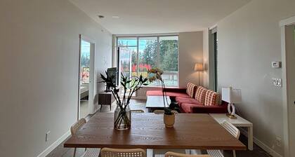 Metrotown brand new luxury apartment