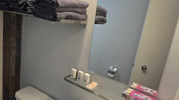 Habitación doble estándar | Baño | Amenidades de baño gratuitas, jabón, shampoo, papel de baño