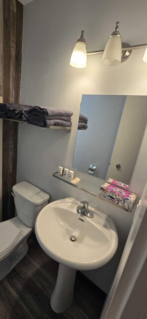 Standard Double Room | Bathroom | Free toiletries, soap, shampoo, toilet paper