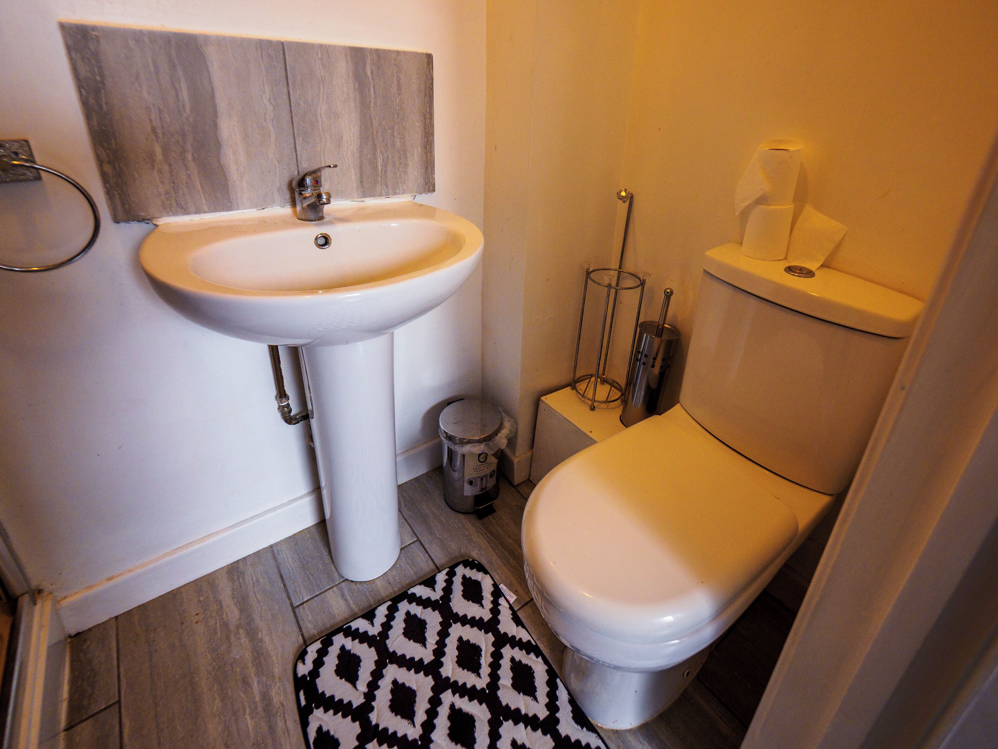 A bathroom with a white sink, toilet, and a patterned rug on the floor.