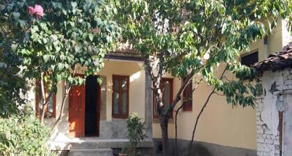 Welcome to Hostel 1926, the first entrepreneurs ,where comfort meets creativity.