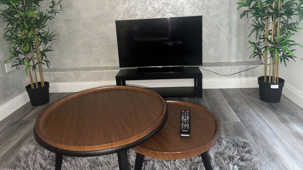 A living room with a flat-screen TV on a stand, a wooden coffee table, a remote control, and two potted bamboo plants.