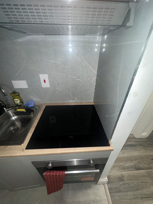 Frigorífico, microondas, horno y placa de cocina