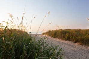 A sandy beach path with tall grasses and a clear sky. - 3 Bedroom apartment within 6 minute walk of the boardwalk & beach access! (Carolina Beach)