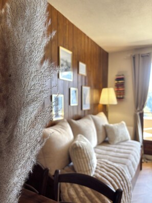 Smart TV, books - Cosy cocoon with breathtaking view + covered parking lot (Les Deux Alpes)