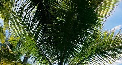 casa jaguarjundi 3-bedroom house in charming PAVONES, AC, pool, view ocean