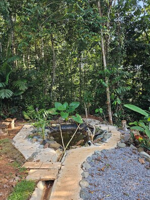 المنطقة المحيطة بالمنشأة