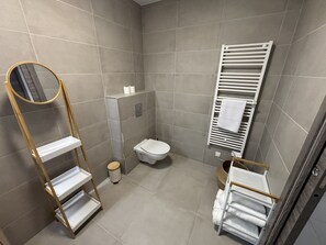 Shower, hair dryer, towels, toilet paper