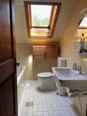 Secador de cabelo, toalhas de banho, sabonete, papel higiênico