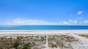 Ein Strand mit klarem Himmel, sandigem Ufer und vereinzelter Vegetation.