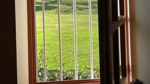 Vista a través de una puerta que muestra un hilero de árboles en un parque.