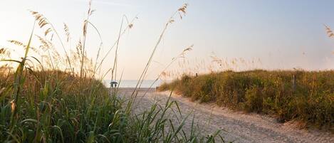 Chaises longues, serviettes de plage