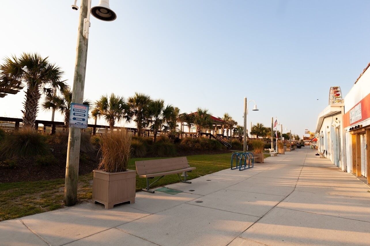 A coastal walkway with benches, palm trees, and a clear sky.