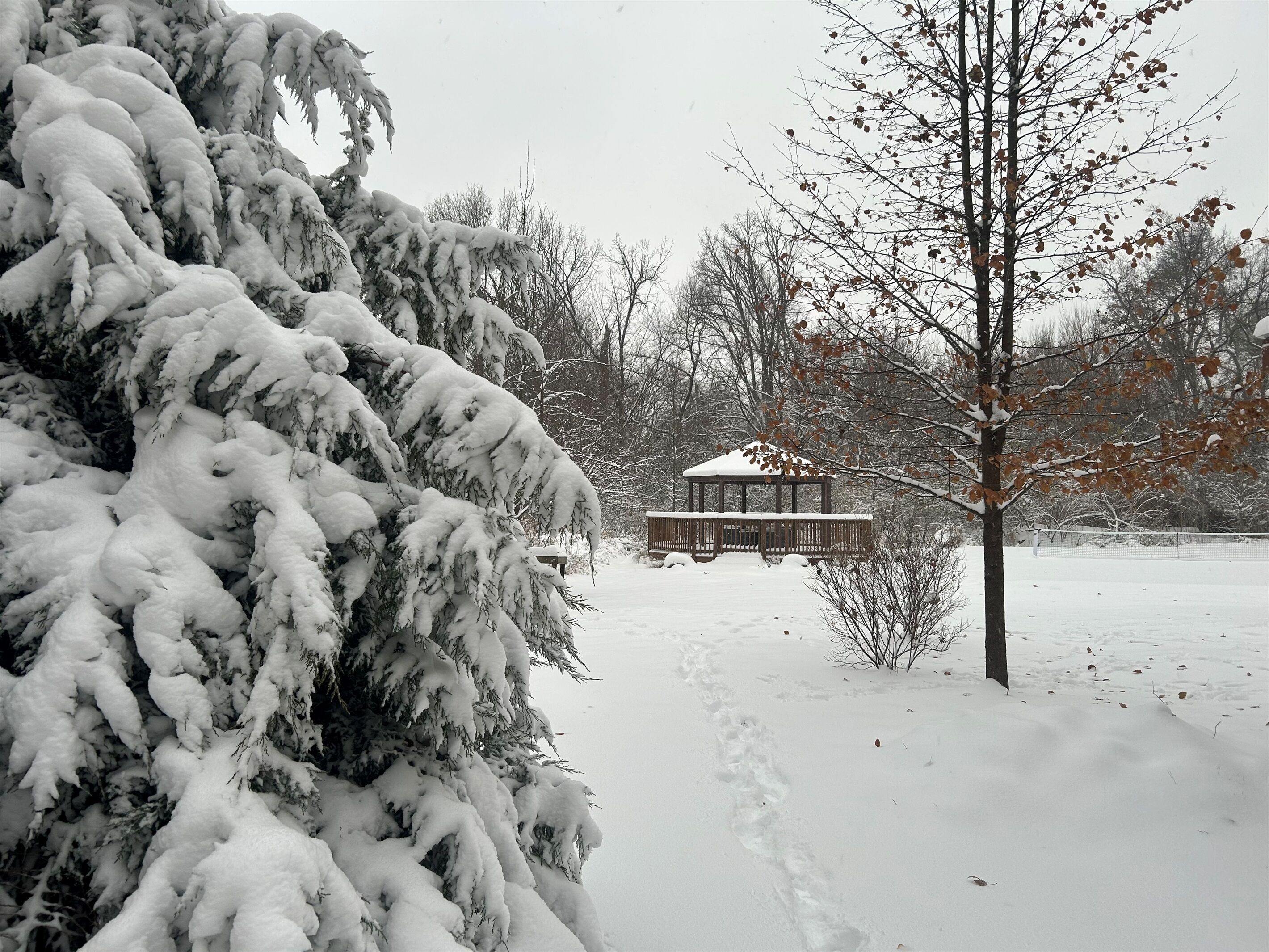 A gazebo in a snowy park with snow-covered trees and a clear path.