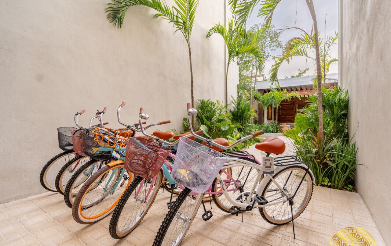 Una hilera de bicicletas estacionadas junto a una pared en un patio con palmeras y un edificio al fondo.