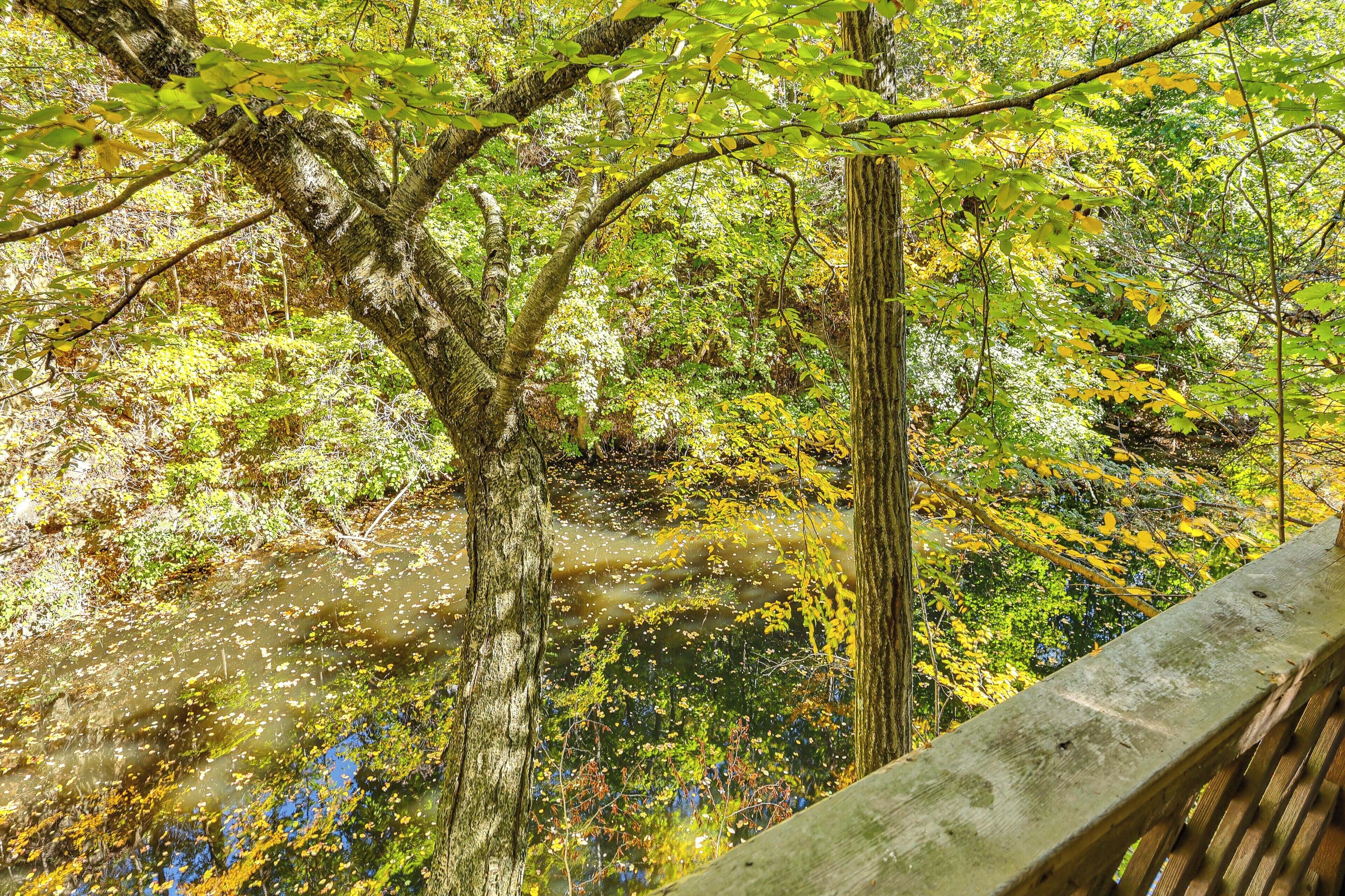 A wooden bridge over a river with surrounding trees and foliage.