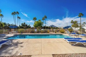 A swimming pool with lounge chairs and palm trees.