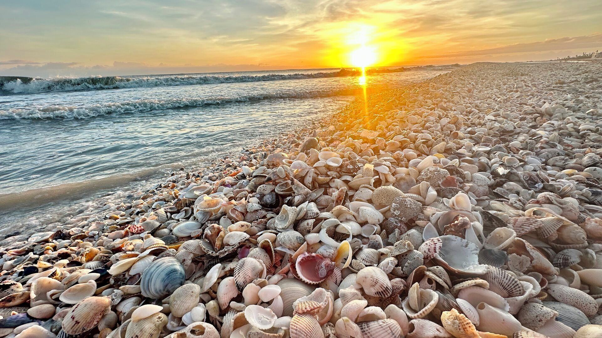 Playa en los alrededores, camastros y toallas de playa 