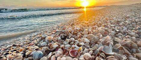 Playa en los alrededores, camastros y toallas de playa