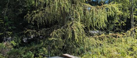 Overnatningsstedets område