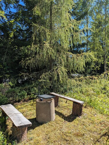Cozy family cabin by the lake & forest