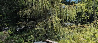 Cozy family cabin by the lake & forest