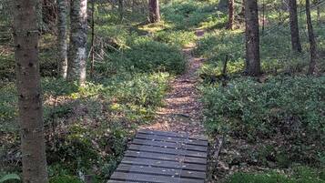 المنطقة المحيطة بالمنشأة