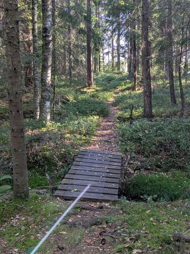 Cozy family cabin by the lake & forest