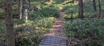 Cozy family cabin by the lake & forest
