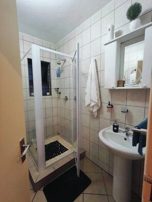 Shower, hair dryer, towels, soap