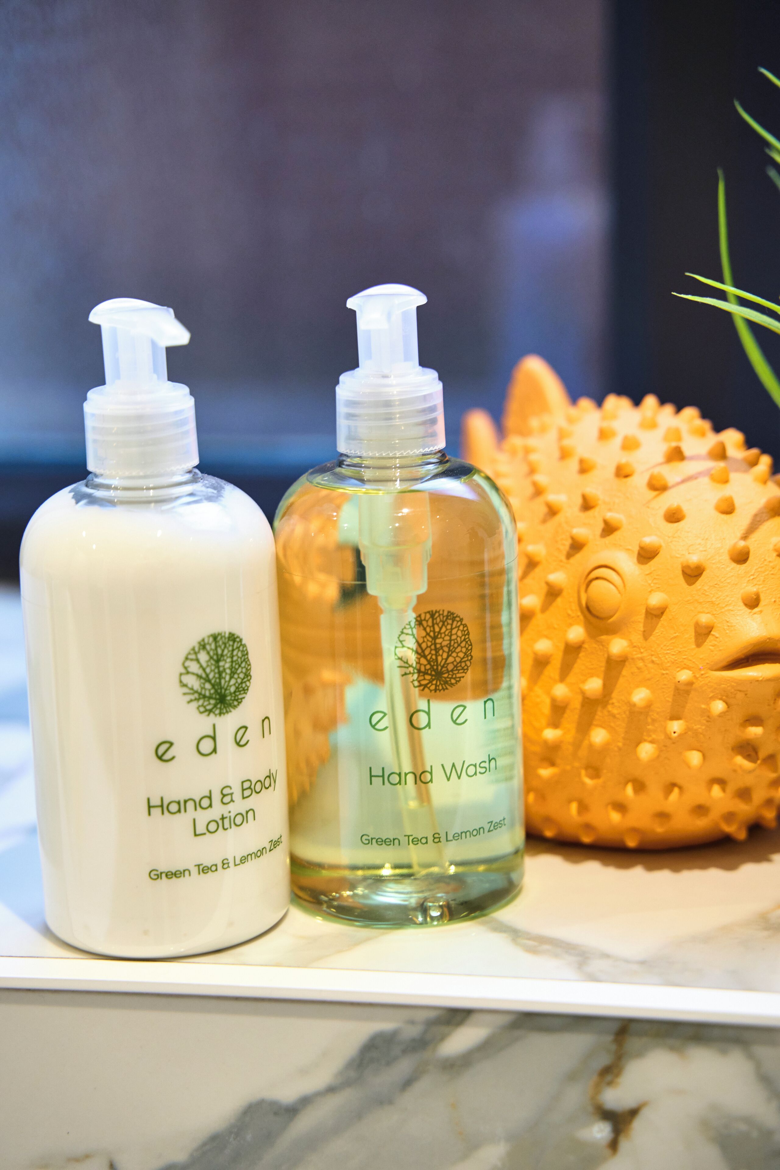 Secador de pelo, toallas, jabón, papel higiénico