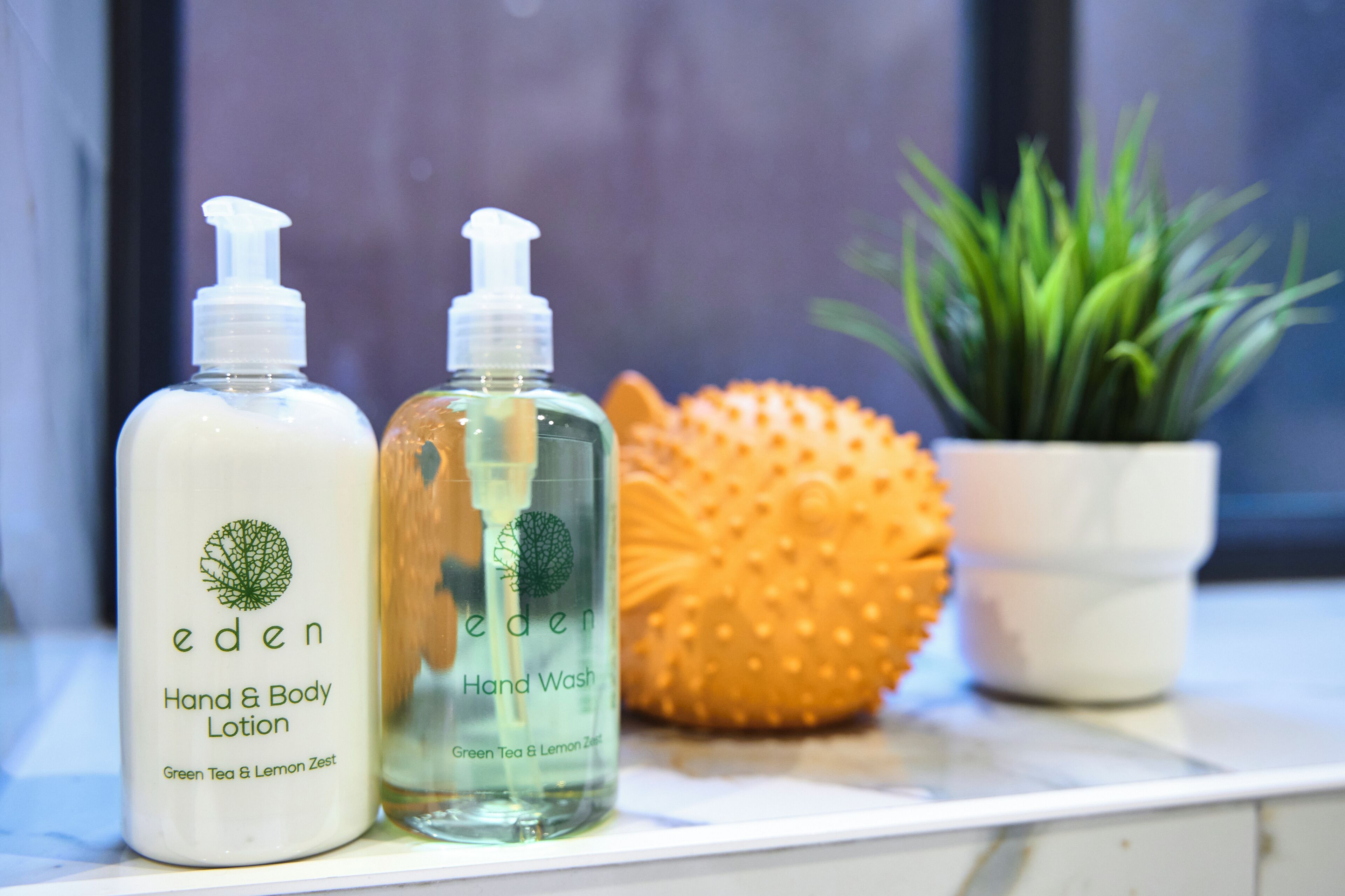 Secador de pelo, toallas, jabón, papel higiénico