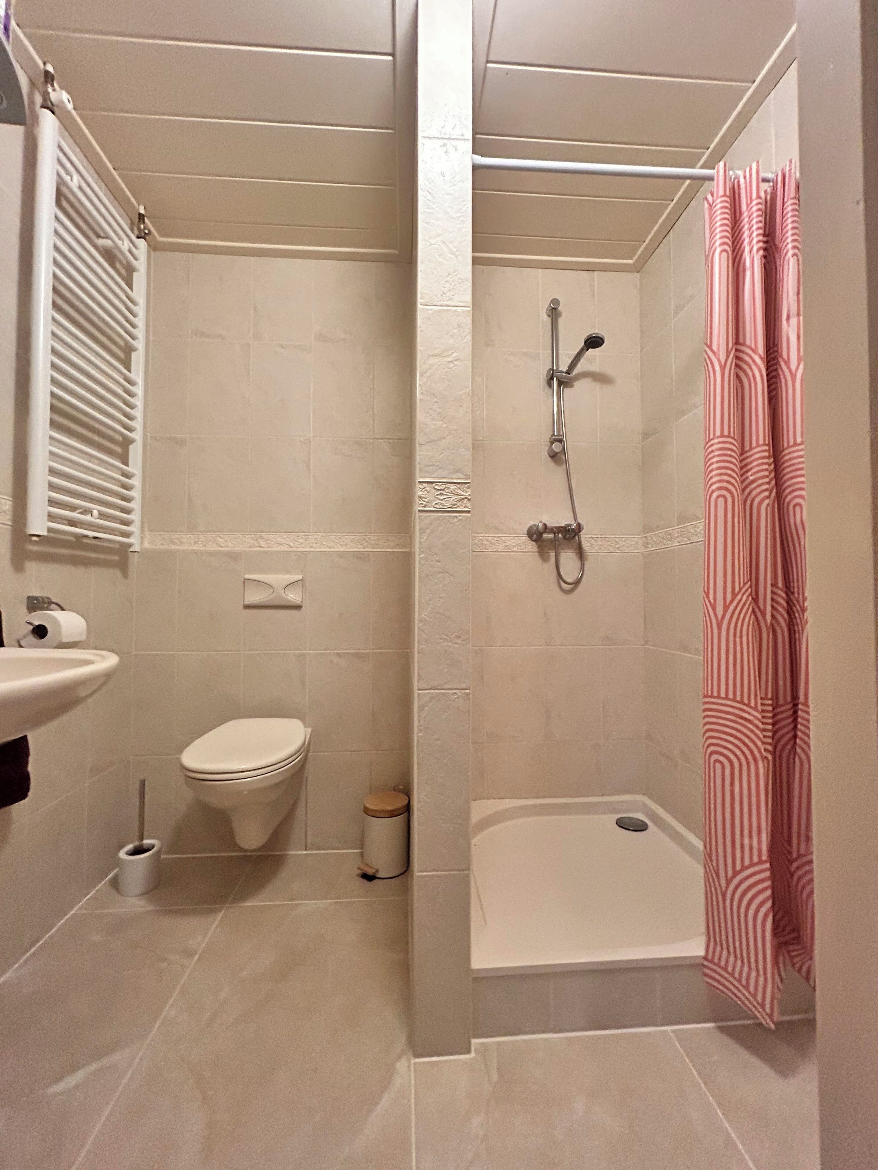 Shower, towels, toilet paper