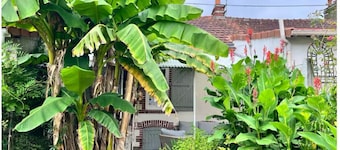 Weaver's house (36 m), full of charm in the center of Cholet, with garden.