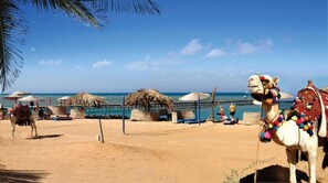Beach - Florenza Khamsin 50 Hurghada (Hurghada)