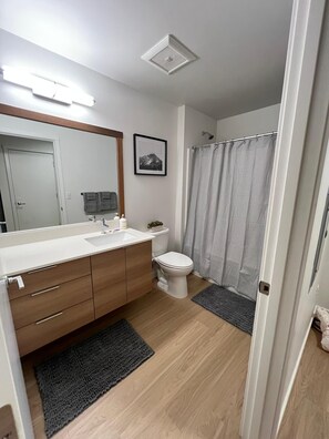 Hair dryer, towels, soap, toilet paper